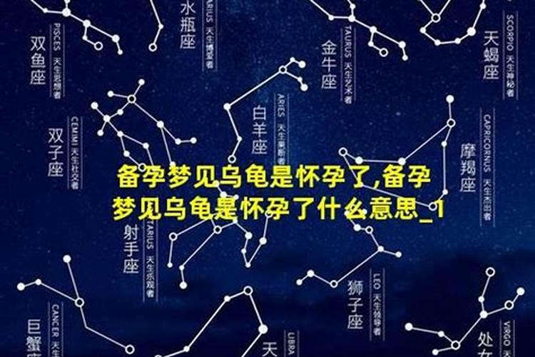 怀孕期间梦到乌龟什么意思