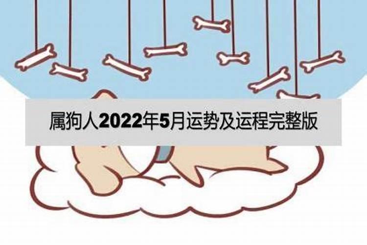 狗5月运势2023