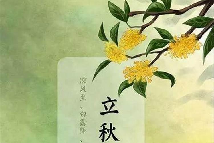 我说是几号立秋节气