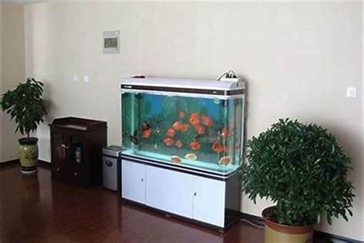 风水鱼用什么鱼缸