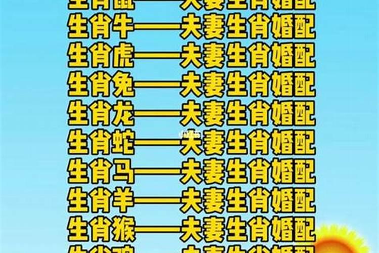 八字相冲的夫妻牛和羊怎么化解