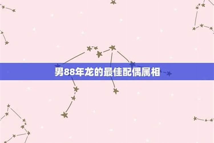 88属龙的和哪个属相婚配