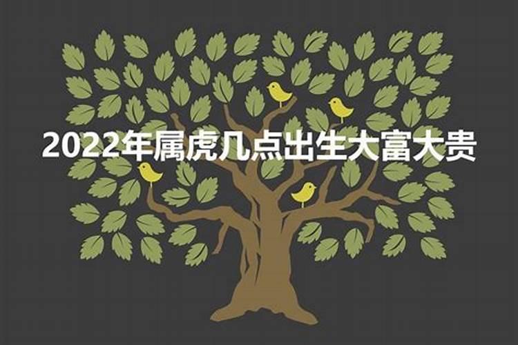 属虎几月出生大富大贵2022