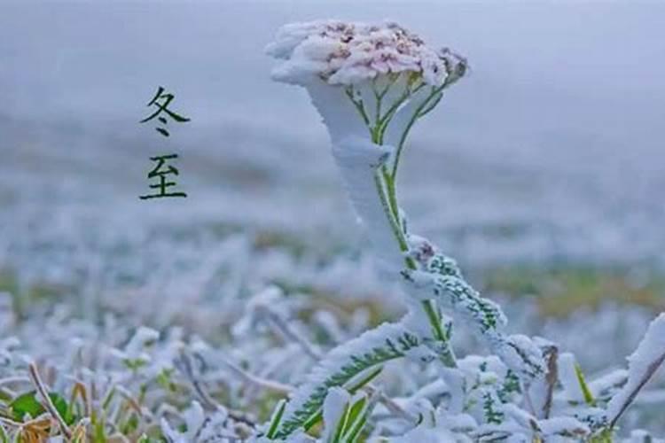 冬至扫墓祭祀时间