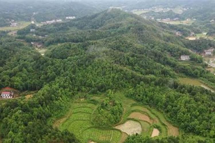 名人祖坟风水宝地