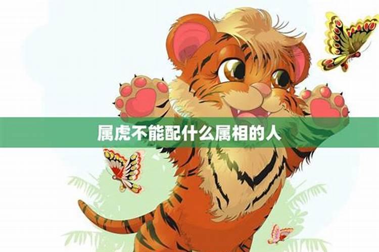 生肖猴不能配什么生肖