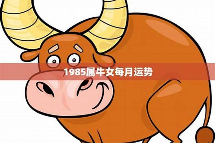 1985属牛今年下半年运势每月运势