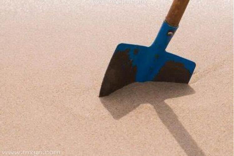 梦见铲沙子是什么意思啊