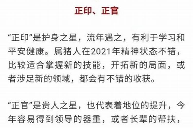 属猪2022年十月份运势