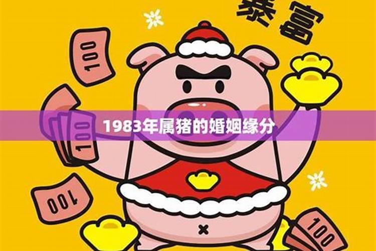 1971年4月属猪的是什么命