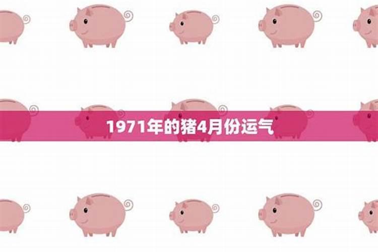 1971年4月属猪的是什么命