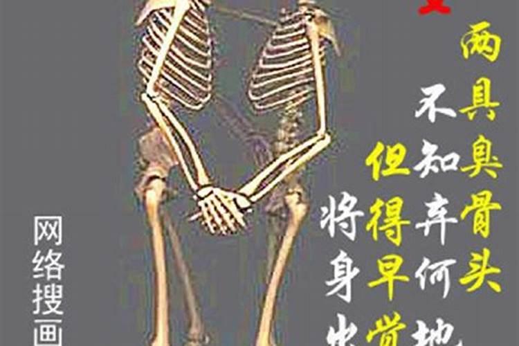 92年腊月初八属相