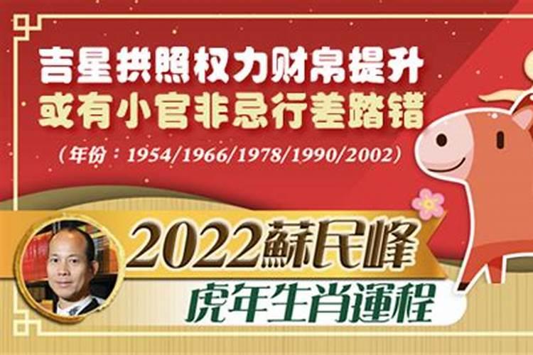 苏民峰属马2023年运程