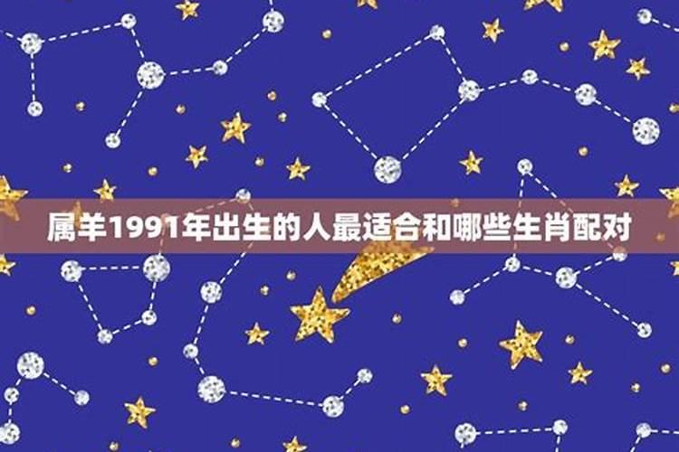 1991属羊人适合哪方发展