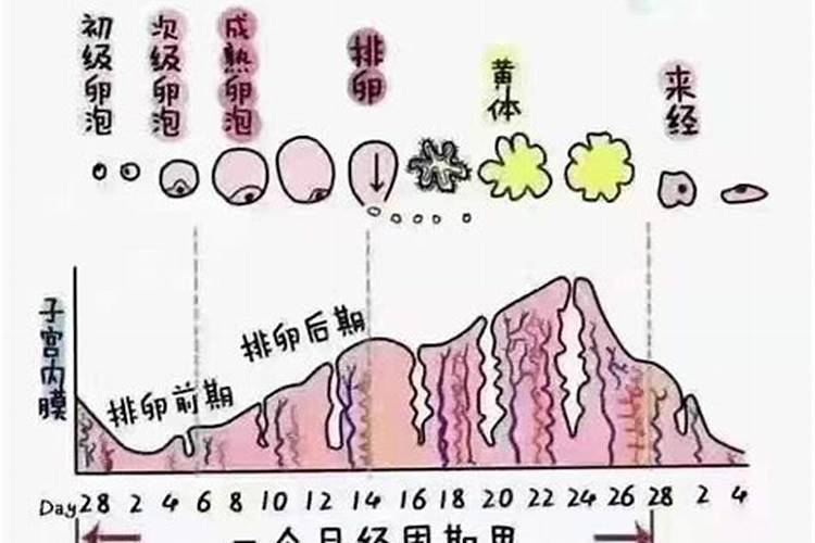 梦见女人的月经是怎么回事