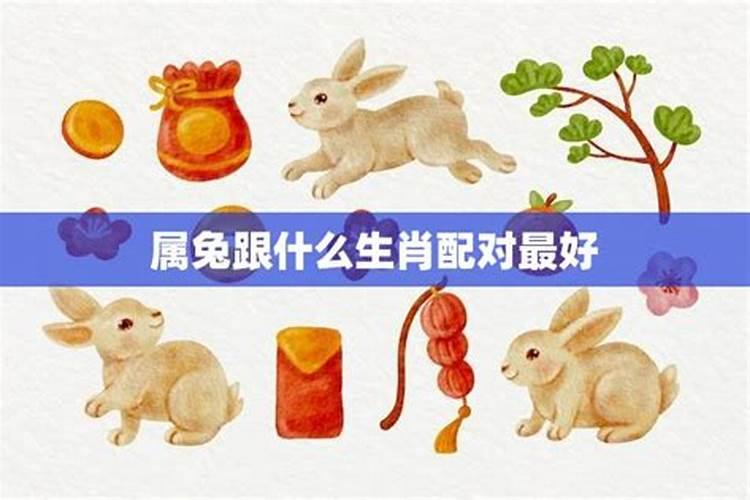 属兔的适合跟什么生肖的合作