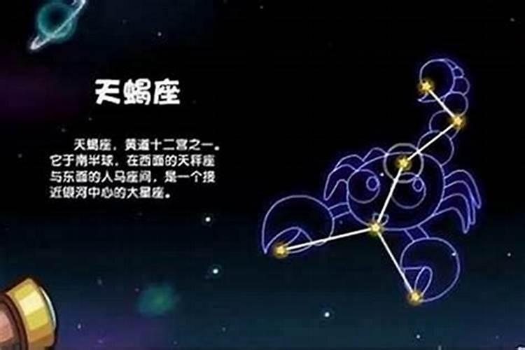 天蝎女最想找哪个星座