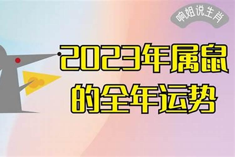 2023年属鼠人全年运势