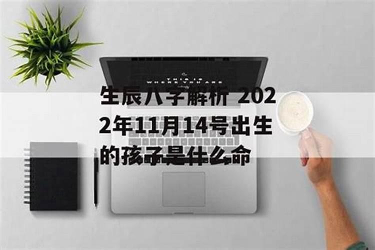 11月14号出生的运势