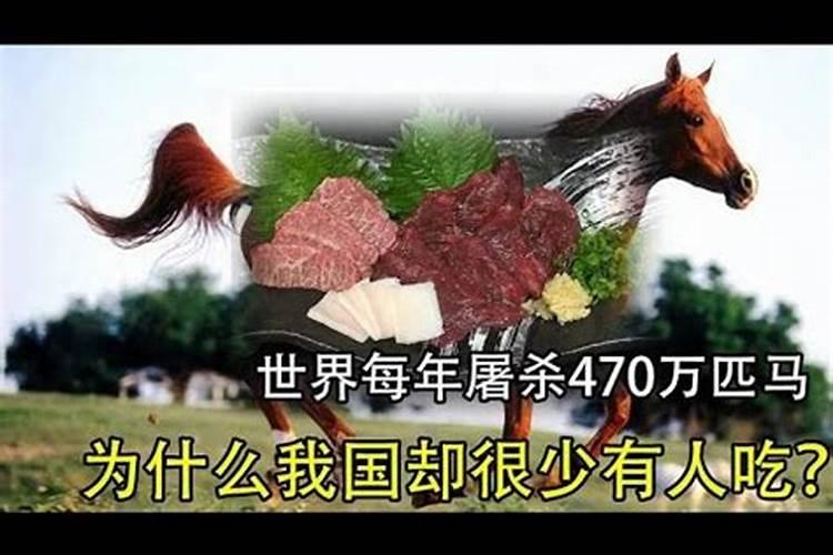 梦到吃马肉什么意思