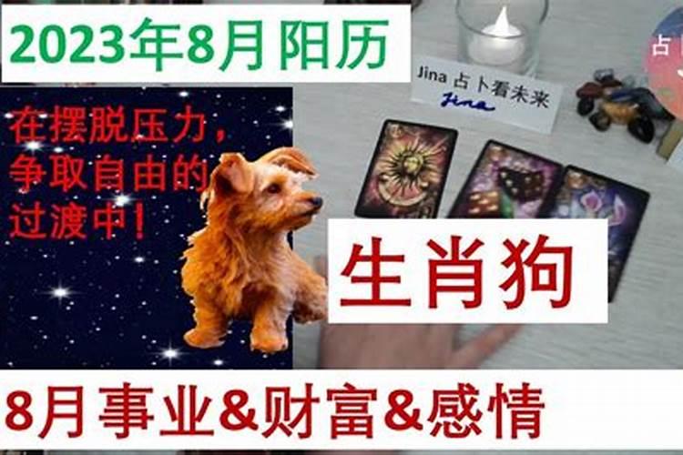 属狗的阳历八几份运势好吗