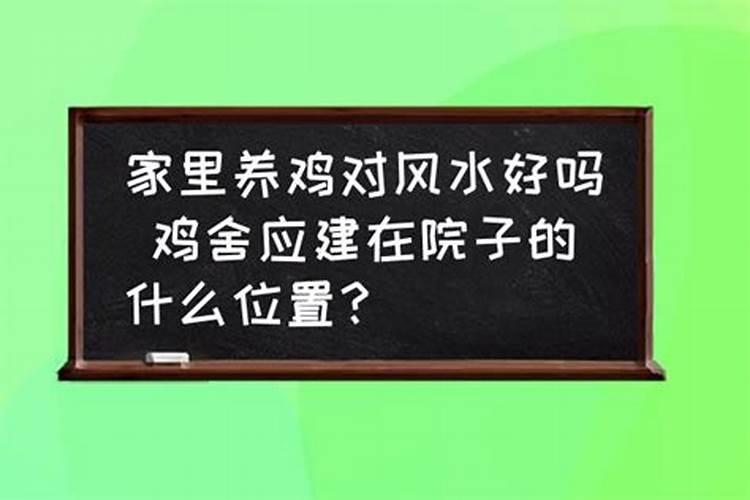 在家里养鸡鸭影响运势吗