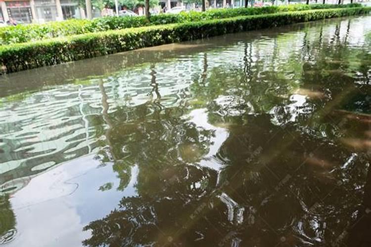 梦见道路被雨水漫了