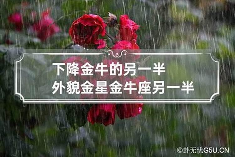 上升金牛为什么晚婚