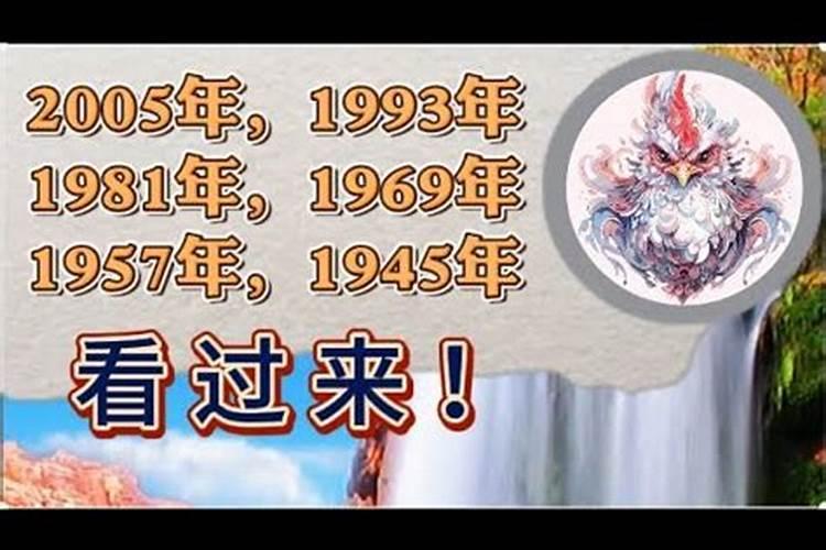 1977年属蛇2024年运势如何