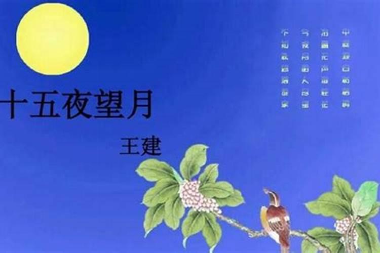 三月十五夜望月是什么意思