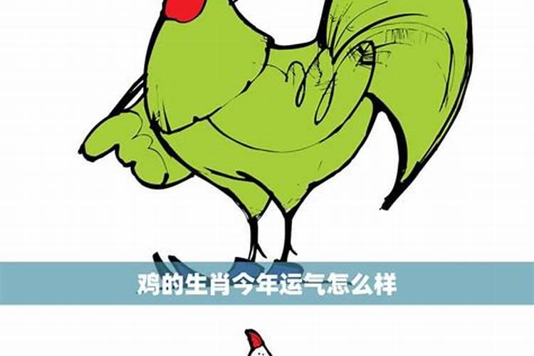 2023生肖鸡今年运势