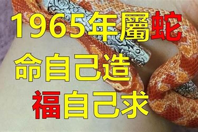 1965出生生肖运势如何