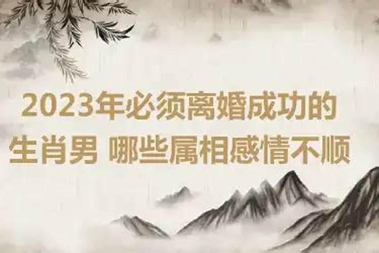 2023年会离婚的生肖男