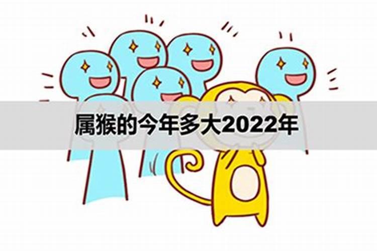 2022属猴年龄表