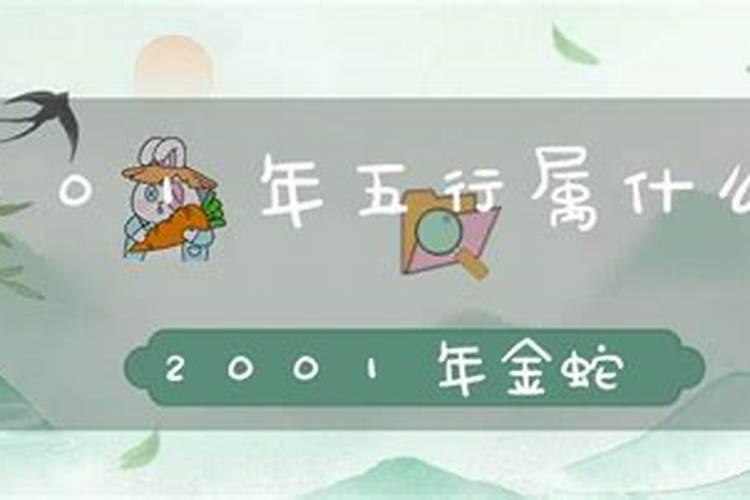 2001年蛇年五行属什么