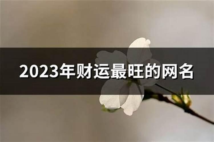 2023年财运最旺