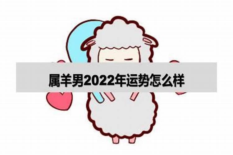 91年属羊男在2022年的运势如何