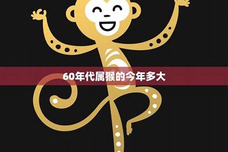 60多岁属猴的今年多大