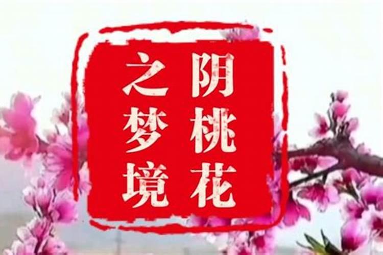 梦到和一个美女谈恋爱什么预兆