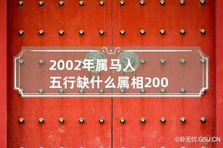 2002年是五行属什么命