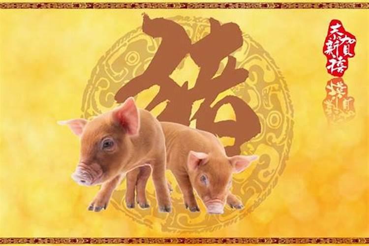 属猪今年三月运势