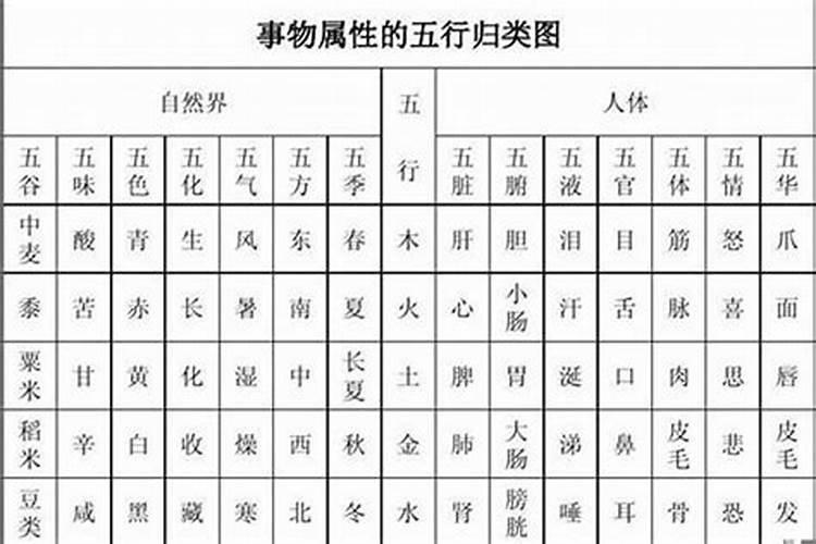 前字五行属什么的意思是什么