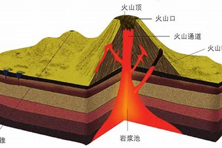 十二生肖的火山是哪