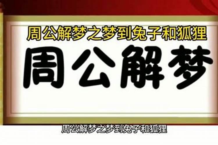 梦见红色的兔子还抓回来了一只