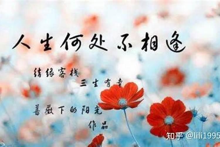 什么人命中无婚姻