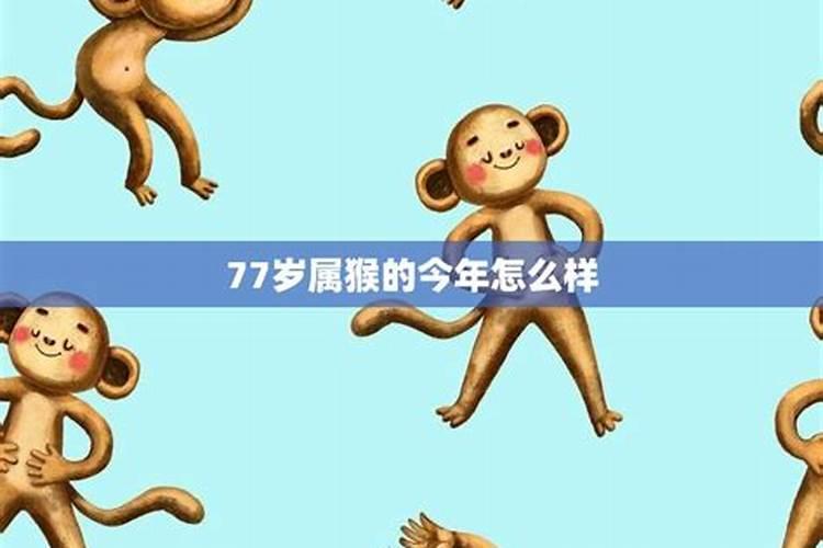 68年属猴男今年健康运势