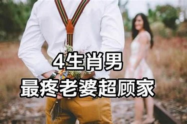 哪个生肖的男人最疼老婆