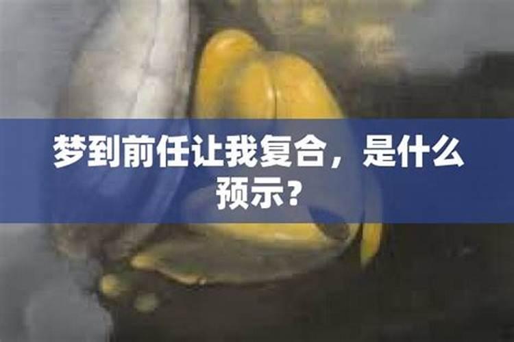 梦到前任现实能复合吗