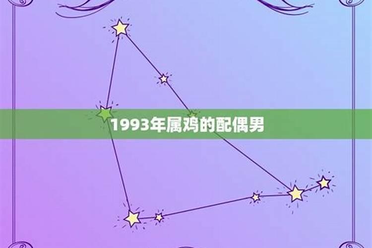 1993年属鸡男婚姻配对是什么