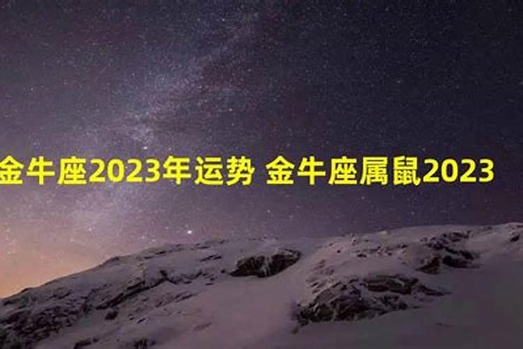 金牛座十一月份运势2023年运程